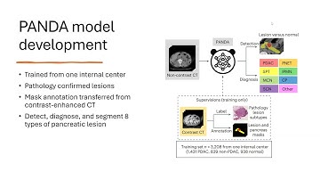 Cancer Detection via Non-Contrast CT and Deep Learning