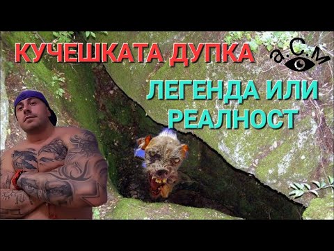 Видео: Строга къща, разположена между две сгради и басейн