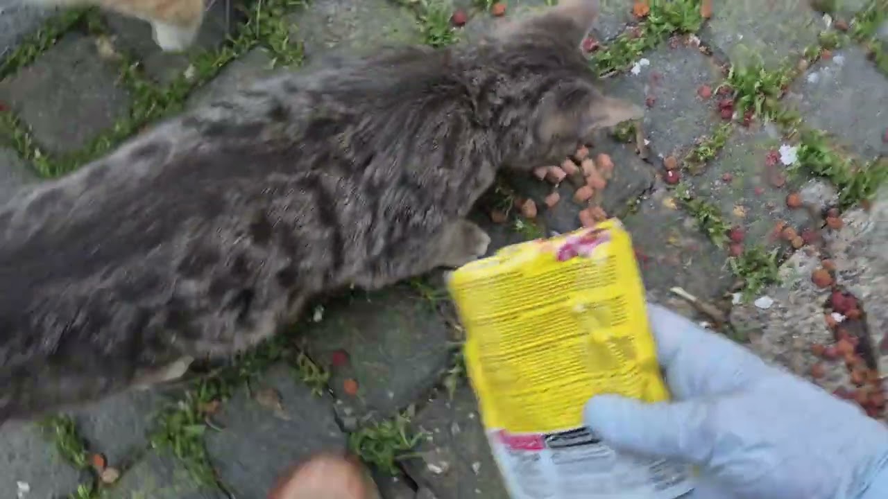 İFTAR ÖNCESİ Bİ ÇIKIYIM..🤲❤️