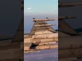 الجيش الأردني يعلن إسقاط 8 صواريخ إيرانية استهدفت أراضي المملكة