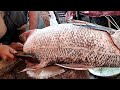 15 Kg Indian Salmon Fish Cleaning & Cutting Skills | Fish Cutting In Bangladesh