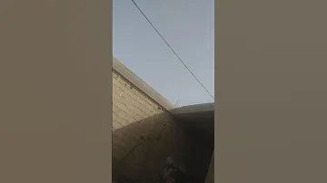 ورقلة 