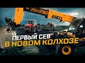 Купили Колхоз и СЕЕМ озимый рапс! Рассуждения о работниках АПК. 