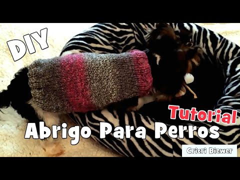 Vídeo: Com Teixir Un Jersei De Terrier De Joguina