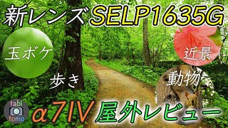 新レンズ『SELP1635G』とSONYα7IVの屋外レビュー！歩きも近景も