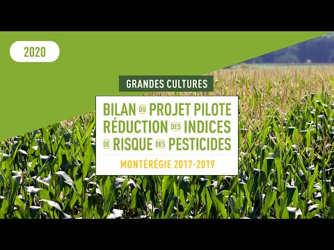 Vidéo: Nématodes des cultures de pois du sud - Comment traiter les pois du sud avec des nématodes à galles