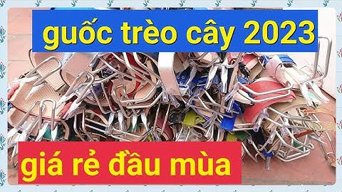 GUỐC TRÈO CÂY BẮT ONG 2023, DỤNG CỤ HỖ TRỢ TRÈO CÂY 2 ĐINH VÀ DÂY ĐAI AN TOÀN
