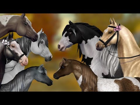 New Horse Breeds Animated Into Sso Youtube New Horse Breeds Animated Into Sso Youtube