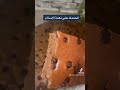 الحمد لله والشكر لله اكسبلور اسلام المرأة في الإسلام حلويات الطبخ 