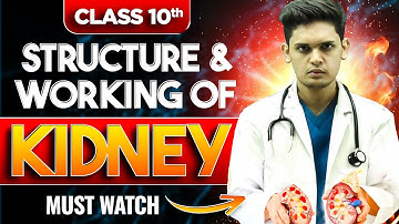 Structure and Working Of Kidney | Life Process |  Biology class 10 | Prashant Kirad