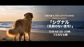 10.2リリース、佐野元春 &amp; ザ・コヨーテバンド新曲「シグナル」プレビュー