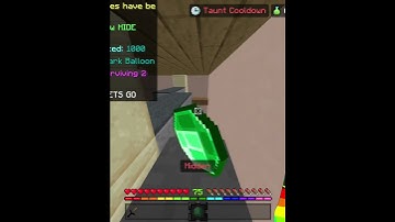 Hide & Seek Max Level #Shorts