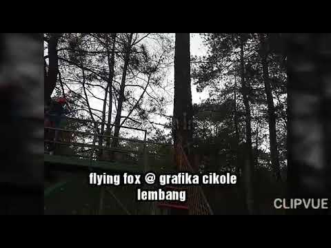 Flying Fox Di Taman Wisata Grafika Cikole Lembang Flying Fox Di Taman Wisata Grafika Cikole Lembang