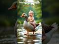baby is sitting on the duck ..#duck #baby #aivedio #cartoon #funnyshorts #views #subscribe