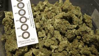 Massachusetts to make history as first legal marijuana shops on East Coast set to open Tuesday