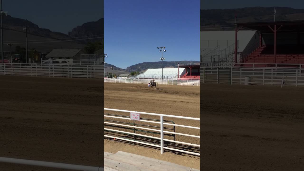 Barrel racing with Rocky Mountain horse... 😊 YouTube