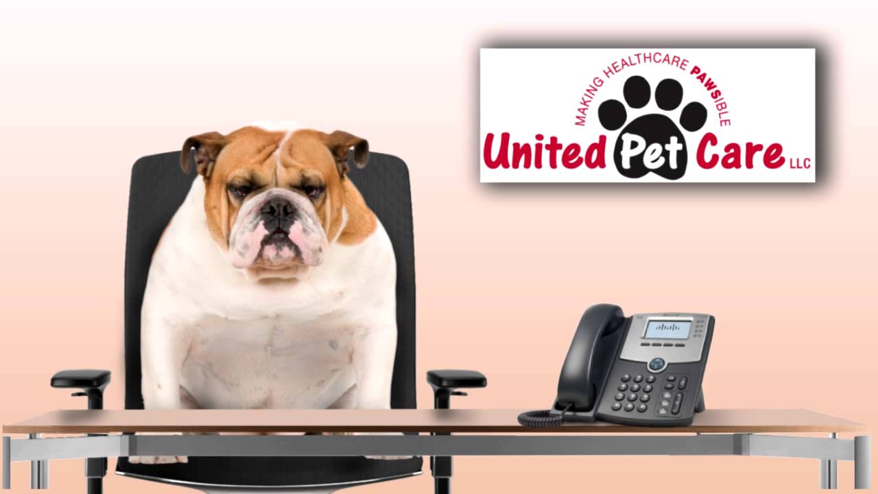 Important Message from United Pet Care YouTube
