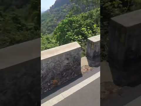 Mountain Safari #mountains #safari #travel #hillstation #hills #nature #video #viralvideo#viral#vlog