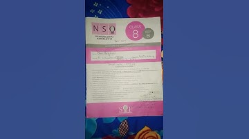 NSO CLASS 8  SET B 2019