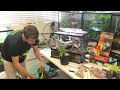 How to setup a bioactive terrarium for leopard geckos self cleaning self maintaining