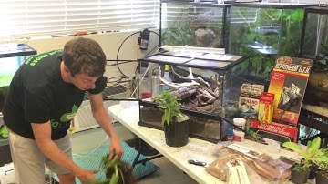 How to setup a bioactive terrarium for Leopard Geckos. Self cleaning, self maintaining.