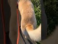 てんとう虫にも優しい
