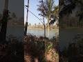#17സെന്റ്സ്ഥലം# വിൽപ്പനയ്ക്ക്#