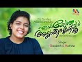 En yeshu allathillenikku      malayalam christian song  elizabeth s  match point faith 