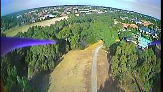 Tyro99 Newbie test flight - crash into a tree