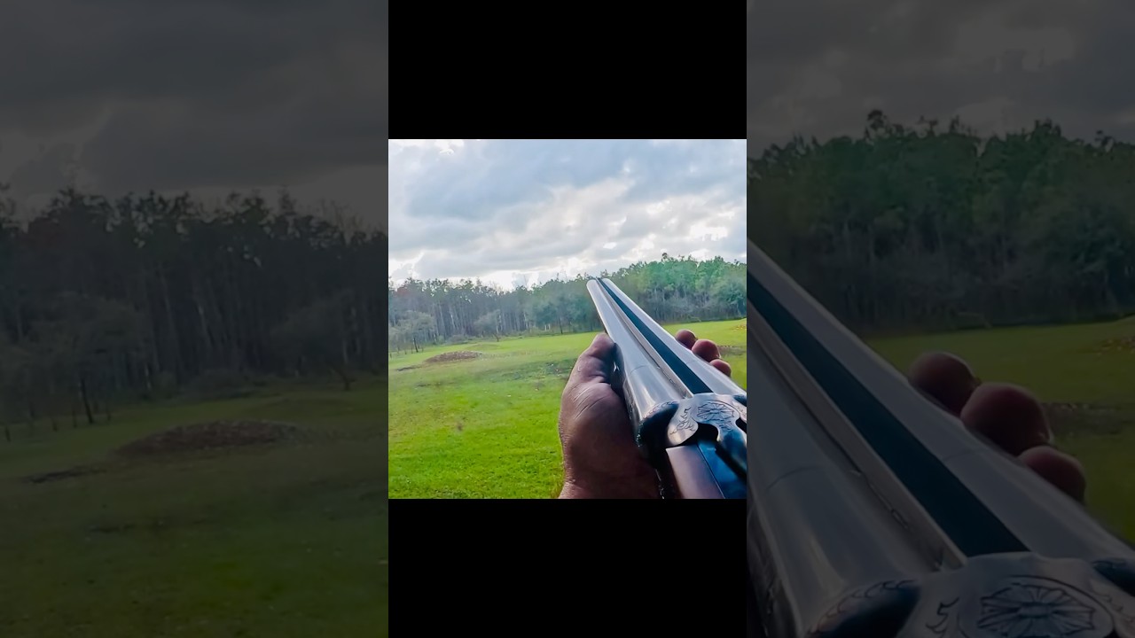 Стрельба из двустволки