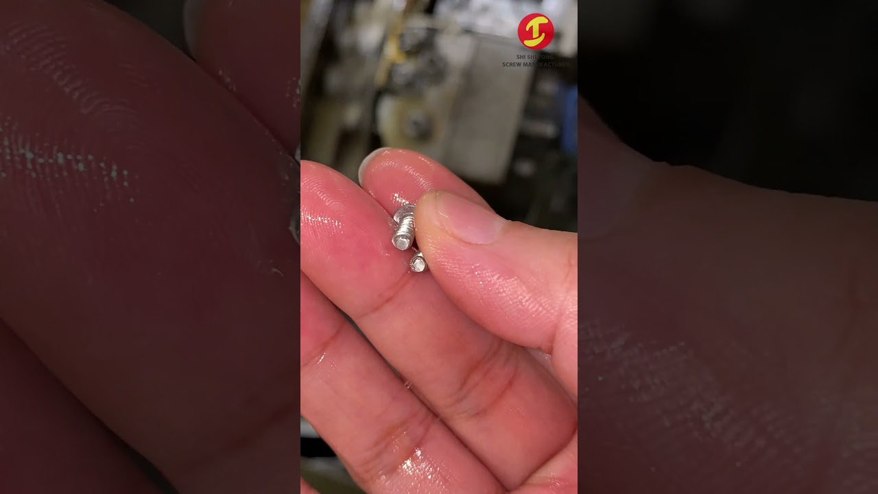 Custom Stainless Steel Phillips Truss Head Thread Forming Screw 