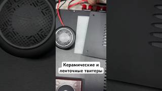 Без фильтров Recoil RDT1 и ленточный свитер #автозвук #automobile #subwoofer #recoilaudio