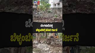 BDA Cracks Down On Encroachment | ₹10 Crore | ಬೆಂಗಳೂರಿನಲ್ಲಿ ಬೆಳ್ಳಂಬೆಳಗ್ಗೆ ಜೆಸಿಬಿ ಗರ್ಜನೆ
