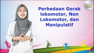 Perbedaan Gerak Lokomotor, Non Lokomotor, dan Manipulatif - PJOK