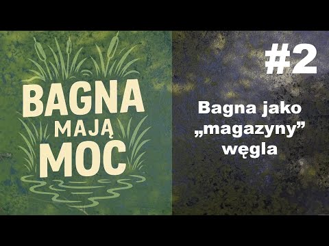 Marshes have power #2 Marshes as "coal storage" - Prof. Bogdan Chojnicki