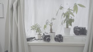 Sunday Afternoon