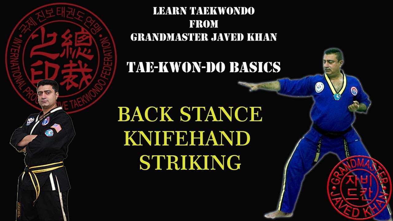 Learn the Taekwondo Knife Hand Striking in a Back Stance Free