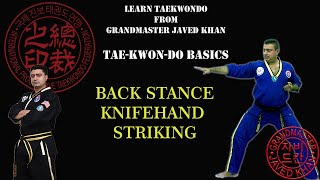 Learn the Taekwondo Knife Hand Striking in a Back Stance - Free Tutorial in English & Hindi/Urdu screenshot 2