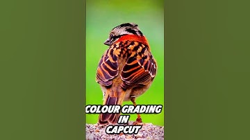 How To Colour Grade | Colour Grading Tutorial #capcut #colorgrading #cinematiccolor #edit #shorts