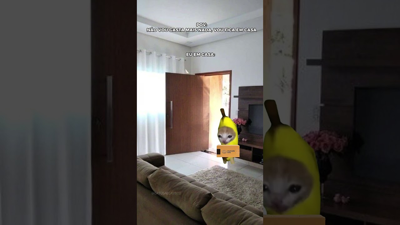 POV: não vou gasta mais nada🤣#pov #catmeme #engraçado #gatos #cat