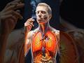 What Happens Inside Your Body When You Smoke? 🚬 #humanbody #ai #anatomy #bodyscience