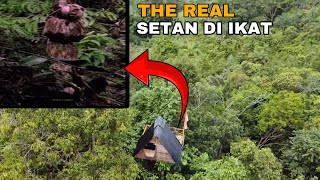 SEMUA SETAN RUMAH POHON DI IKAT⁉️SELAMAT TINGGAL RUMAH POHON KENANGAN TERINDAH YG PERNAH ADA