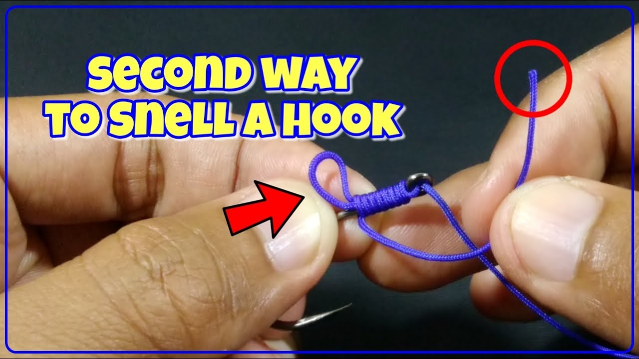 Best Way to Tie a Snell Knot Making Snell Knot the Right Way YouTube