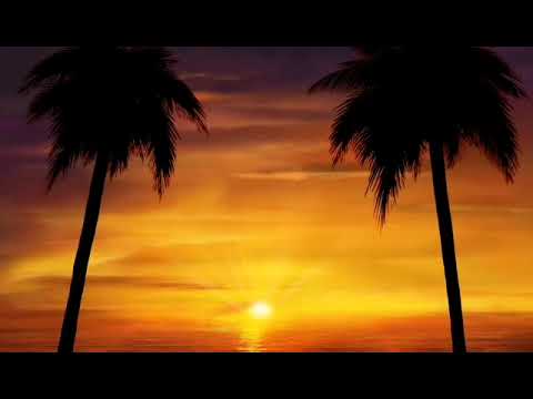 敬拜赞美诗歌-全新的你