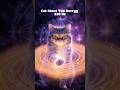 Take Your Energy Back 🐾✨ | 10 sec reset