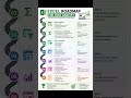 Excel Roadmap for Data Analyst