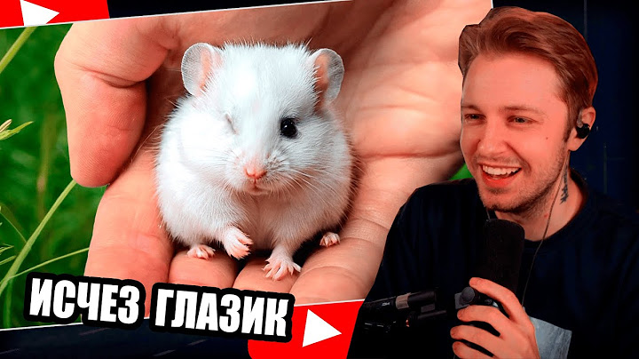 СТИНТ СМОТРИТ/У ДЕТЕНЫША ХОМЯКА ИСЧЕЗ ГЛАЗИК