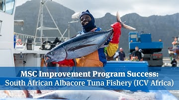 MSC Improvement Program Success with South African Albacore Tuna Fishery (Full)