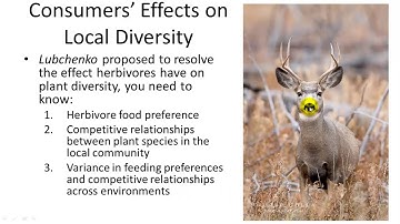 Species Interactions and Community Structure