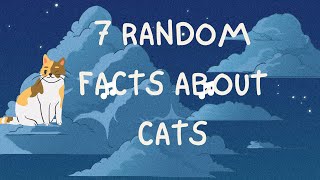 7 Hilarious and Surprising Facts About Cats!